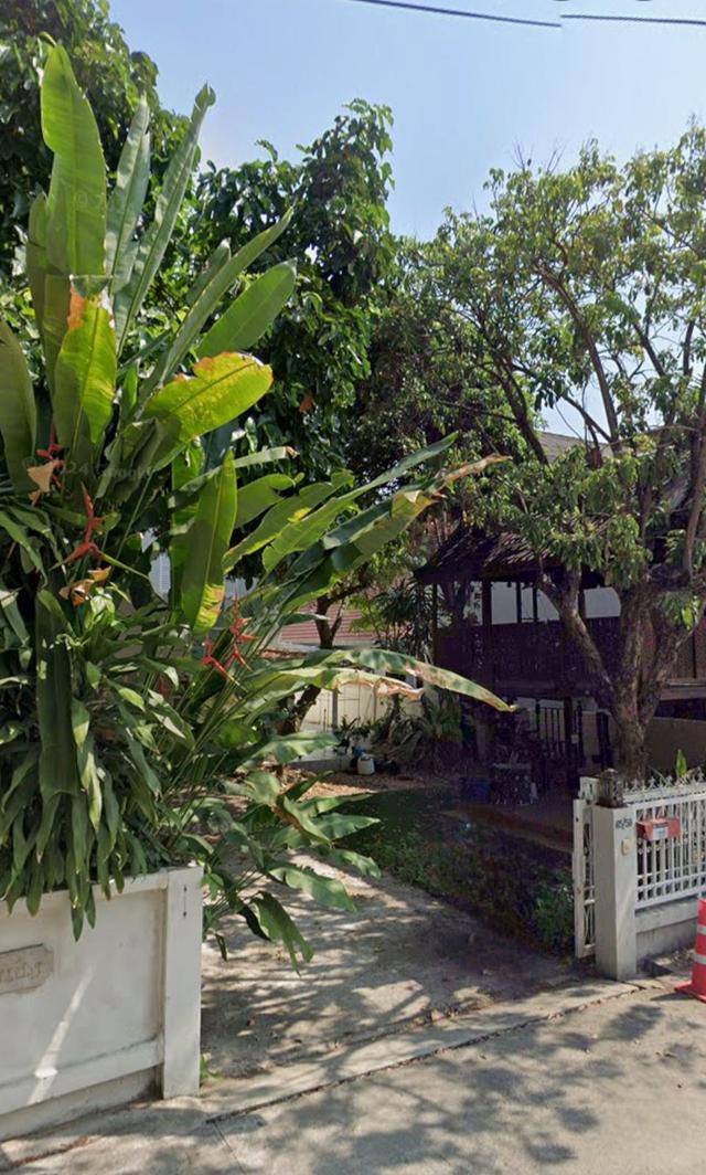Prime Location House for Sale Behind Chiang Mai University (CMU), Suthep - THB 10M 1