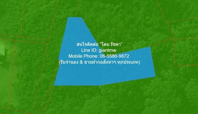 ขายที่ดินเปล่า 2-0-64.1 ไร่ ท่าโพธิ์ จ.พิษณุโลก ราคา 1.60 ล้านบาท 2