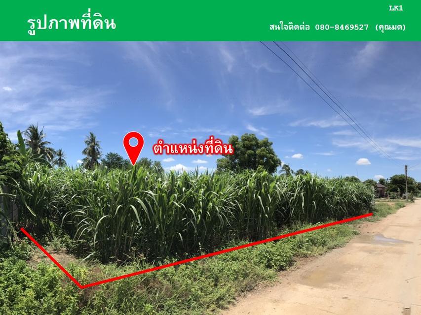 ขายที่ดินหนองลานพระแท่น(น้ำไม่ท่วม) 3