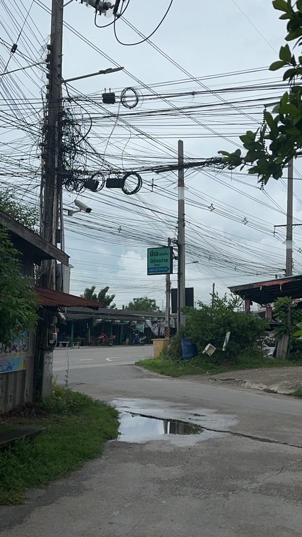 ขายที่ดินเปล่า 198 ตร.ว. ทำเลทอง ติดถนน ต.หนองตำลึง อ.พานทอง จ.ชลบุรี โทร 0953157555 5