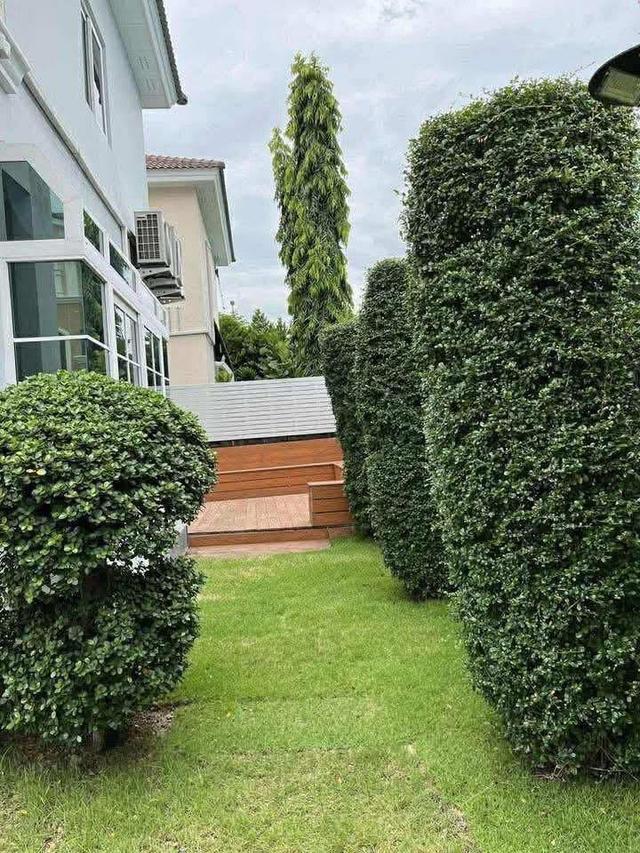 ให้เช่าบ้านเดี่ยวหลังริม แกรนดิโอ วงแหวน–รามอินทรา บ้านทิศเหนือ พื้นที่ 51 ตรว. 4 ห้องนอน 3 ห้องน้ำ บรรยากาศเงียบสงบ เหมาะอยู่อาศัยทั้งครอบครัว 3