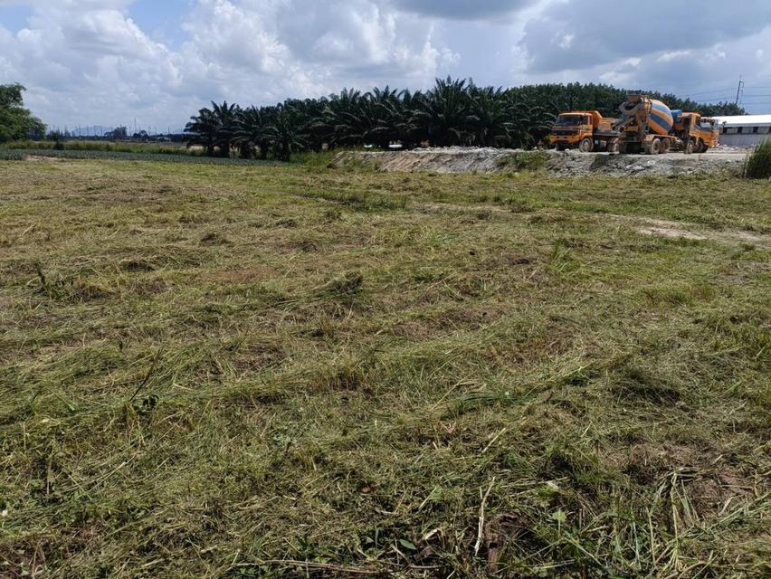 ให้เช่าที่ดินเปล่าระยะยาว 15