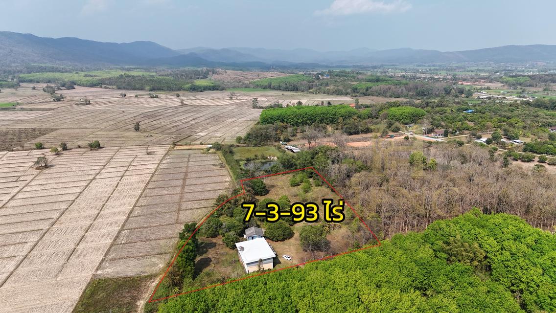 ขายที่ดินเปล่าพร้อมโกดังและบ้าน บ้านจำปู ต.เจริญเมือง อ.พาน จ.เชียงราย 57120 2