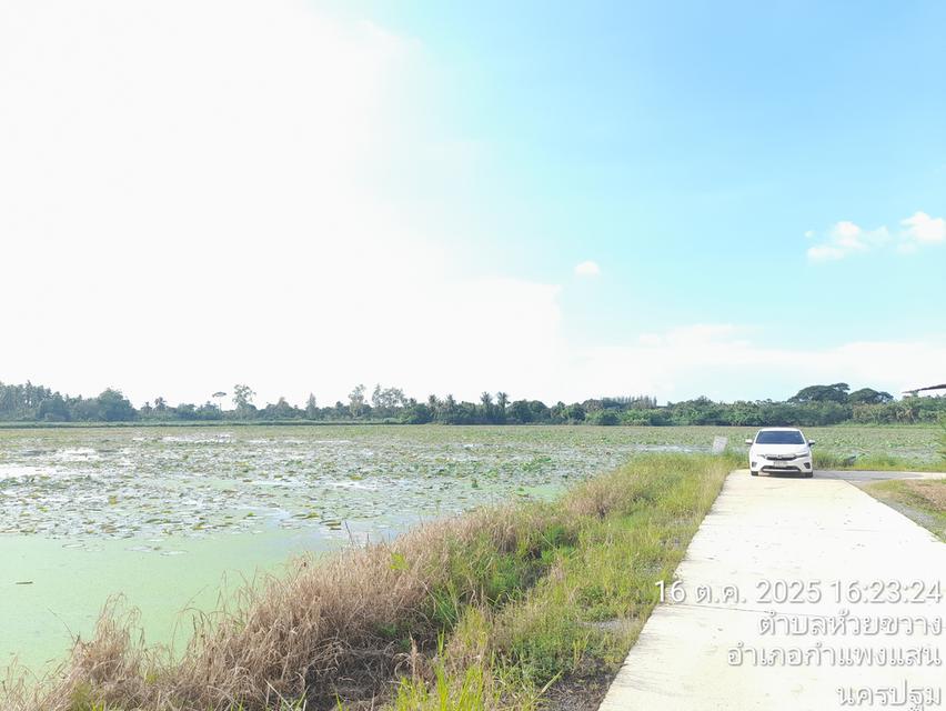 บ้านสวยหน้าอยู่ ทำเลดี 8