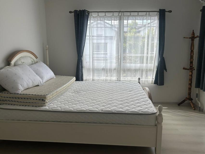 🏡🐶 ให้เช่าด่วน! ทาวน์โฮม Indy 2 บางนา กม.7 Pet Friendly! 2 นอน 3 น้ำ ใกล้ Mega Bangna / IKEA 🛒 5