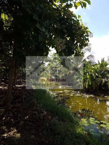 ให้เช่าที่ดิน 1 ไร่ ถนนใหญ่ ย่านพุทธมณฑลสาย1 สายใต้ใหม่ ตลิ่งชัน ( เช่าระยะยาวได้ ) 5