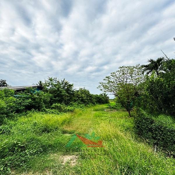 ขายที่ดินเปล่า10-1-78ไร่ ถมแล้ว ถ.นฐ.4042 ต.รางพิกุล ราคาพร้อมคุย 3