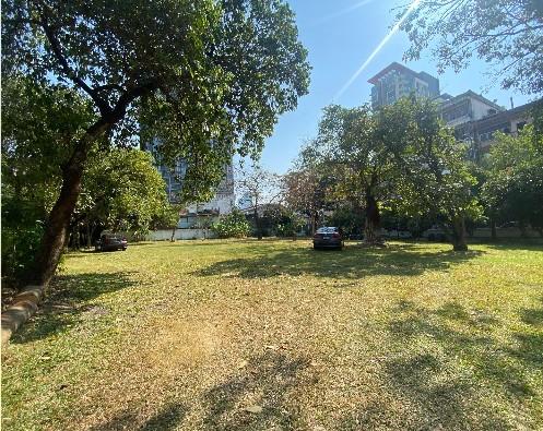 ที่ดินพัฒนาโครงการ ใกล้ BTS ปุณณวิถี (สุขุมวิท 101) 3