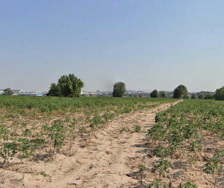 ขายที่ดินสีม่วงลายมาบยางพรติดคลอง 203 ไร่ ติดนิคมอมตะใกล้แยกนิคม(ถนนเส้น331)-6กม. อ.ปลวกแดง จ.ระยอง 4