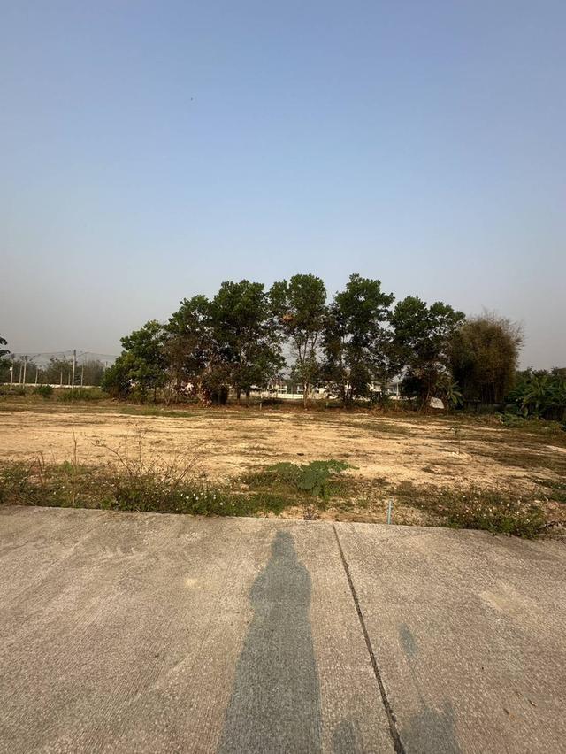 ที่ดินจัดสรรจะขายยกน้ำไฟครบ 3