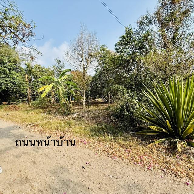 ที่ดินสวย ใกล้สน. ประชาสำราญ หนองจอก 1