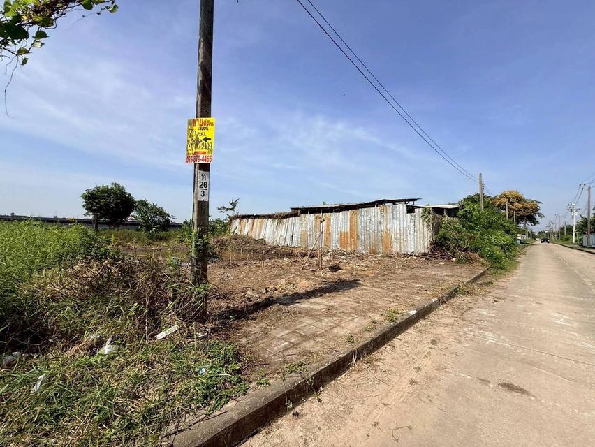 Vายถูกที่ดินบางแวก 75 ตารางวา ติดถนนคอนกรีตสาธารณะ ถมแล้ว 8