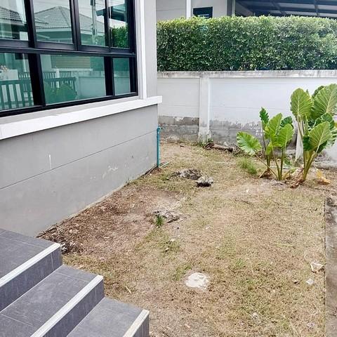 ปล่อยบ้านให้เช่า บ้านเดี่ยวชั้นเดี่ยว หมู่บ้านมีสุข 8 บ้านเปล่า พร้อมเข้าอยุ่ 2 กพ 69 รับจอง พื้นที่45 ตรว. ????3 ห้องนอ 3