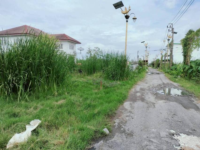 ขายด่วนที่ดินราชาเทวะ 100 ตรว ทำเลดี มีอนาคต  ซ.กิ่งแก้ว 45 อ.บางพลี จ.สมุทรปราการ 7