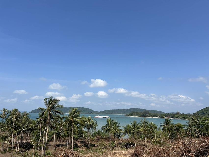 ที่ดินติดทะเลจังหวัดชุมพร 7
