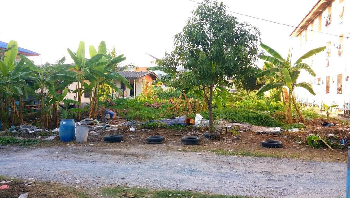 ขายที่ดิน 103 ตรว. ถ.อินทราภรณ์ ซอยพระยาประเสริฐ (บดินเดชา) ทาวน์อินทาวน์ เขตวังทองหลาง กรุงเทพๆ 2