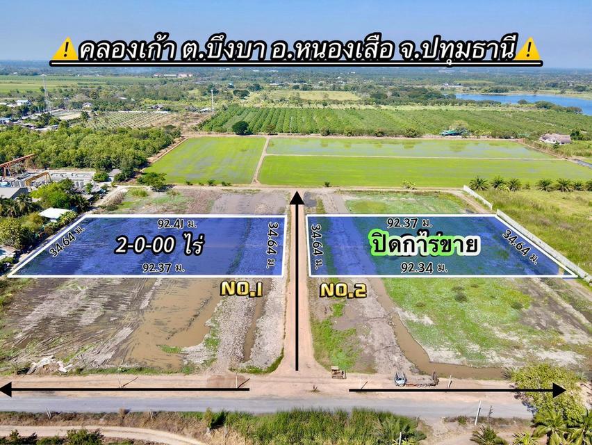 ที่ดินสวยทำเลดี ซ.พนารัตน์ ตำบล บึงบา อำเภอ หนองเสือ ปทุมธานี 1