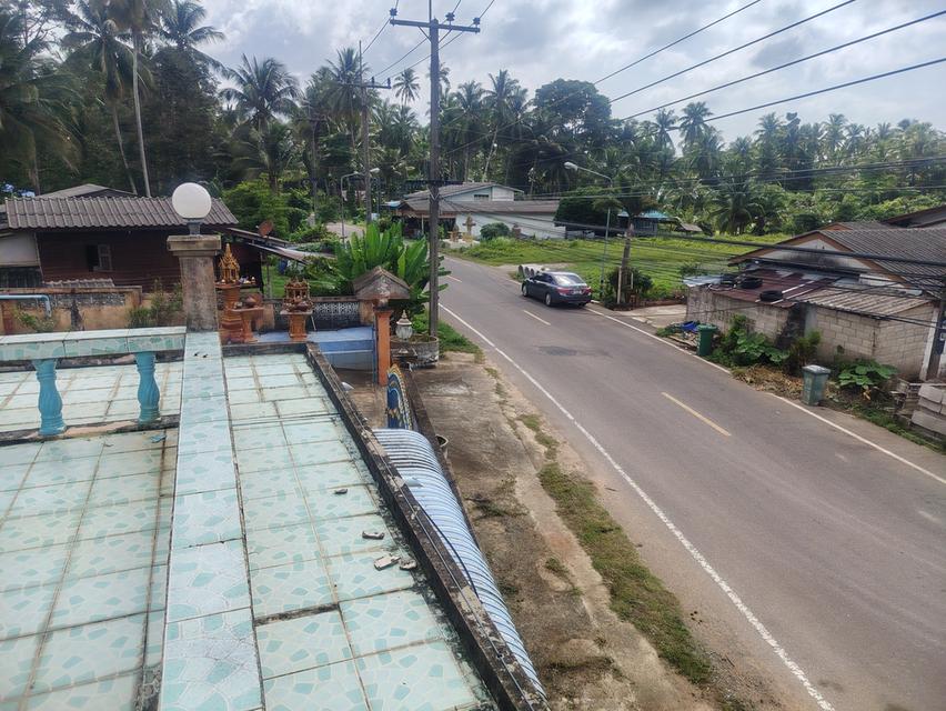 ที่ดินใกล้ชายทะเล ชุมพร 14