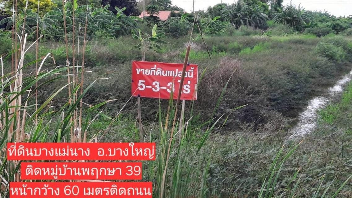 ขายที่ดินเปล่า ต.บางแม่นาง อบางใหญ่ จ.นนทบุรี 1