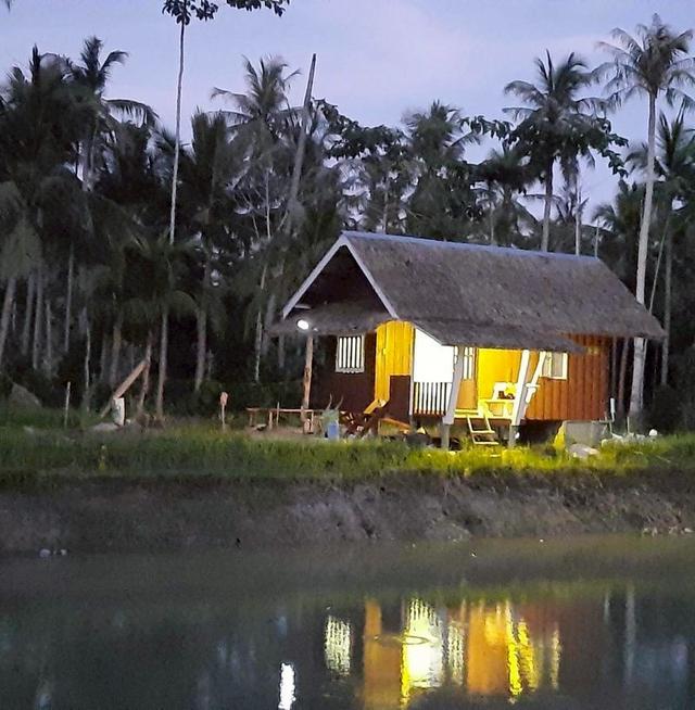 ขายที่ดินขนอม 4 ไร่ พร้อมสิ่งปลูกสร้างและสวน 2