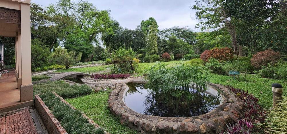 Villa khao yai for sale ขายบ้านพักตากอากาศเขาใหญ่ 3 ไร่ อยู่เส้นธนะรัชต์ ท่าช้างบ้านไร่ หมูสี บ้านสวยพร้อมสวนขนาดใหญ่ ใกล้อุทยานแห่งชาติเขาใหญ่ 13