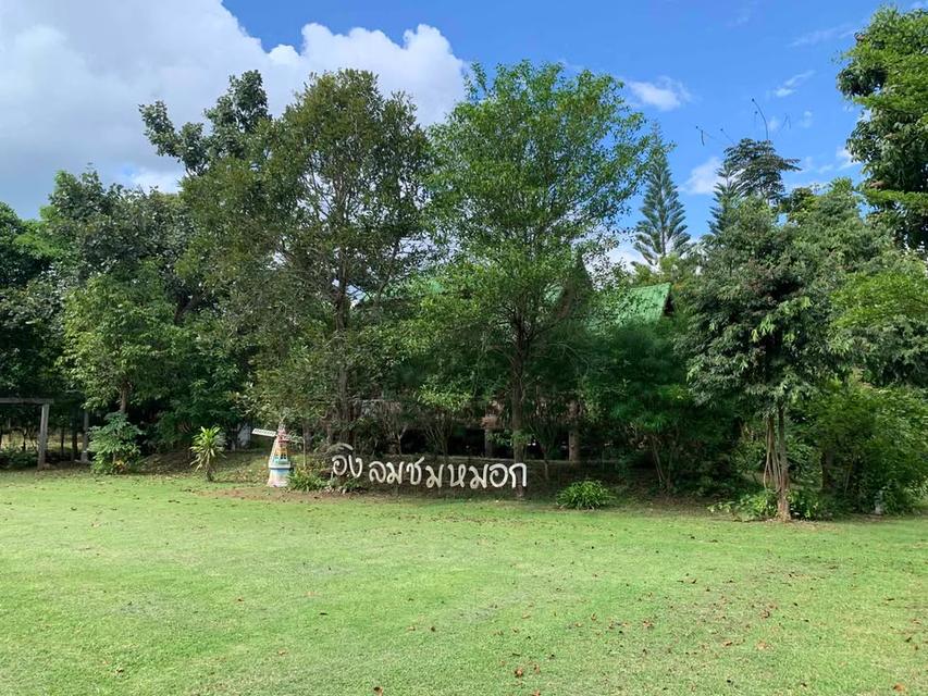 บ้านอิงลม ชมหมอก 2  วัดท่าซุงสาขา 9  วังน้ำเขียว 4 ไร่ 7.5 ล้าน 9