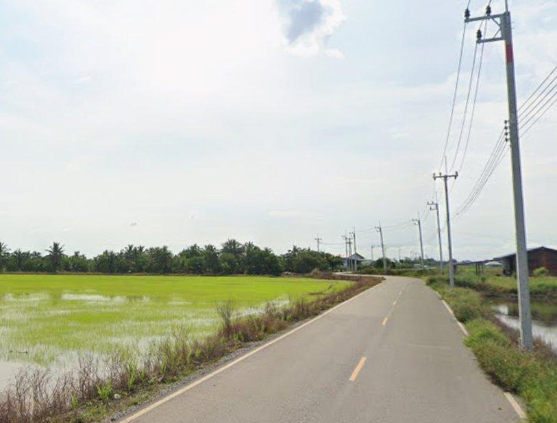 ขายที่ดินบางแก้วซอย3 เนื้อที่ 8 ไร่ ติดถนนลาดยาง ใกล้สวนปาล์มฟาร์มนกและถนน3200-5กม. เมืองฉะเชิงเทรา 3