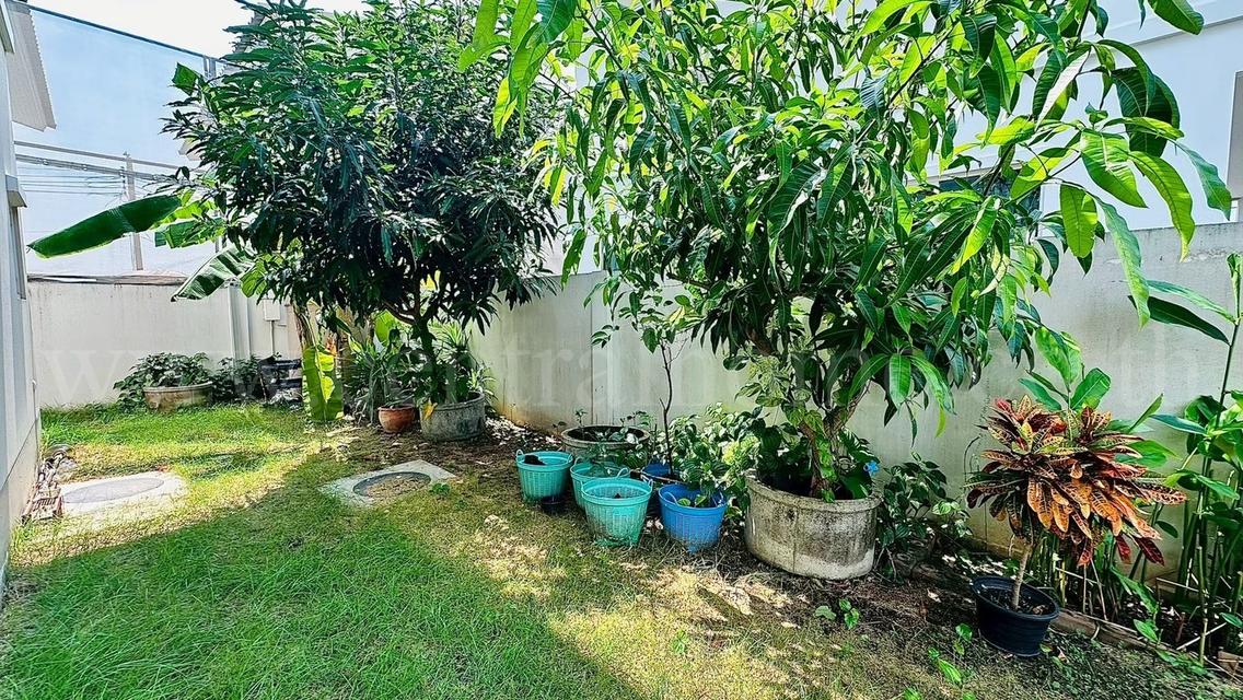 บ้านเดี่ยว คณาสิริ ปิ่นเกล้า - กาญจนา บ้านสวย ถูกที่สุดในโครงการ 17