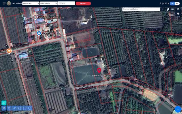 ที่ดินอัมพวา บ้านแพ้ว สมุทรสาคร เหมาะพัฒนา–แบ่งแปลง–สร้างโกดัง! ที่ดินผังสีเขียวลาย ติดถนน 2 ด้าน 4