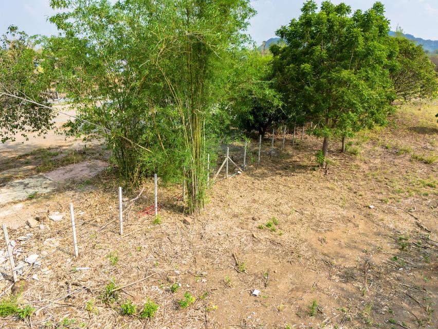 ขายที่ดินวิวเขา ติดถนนใหญ่ อ.เฉลิมพระเกียรติ จ.สระบุรี 5-3-34 ไร่ 10
