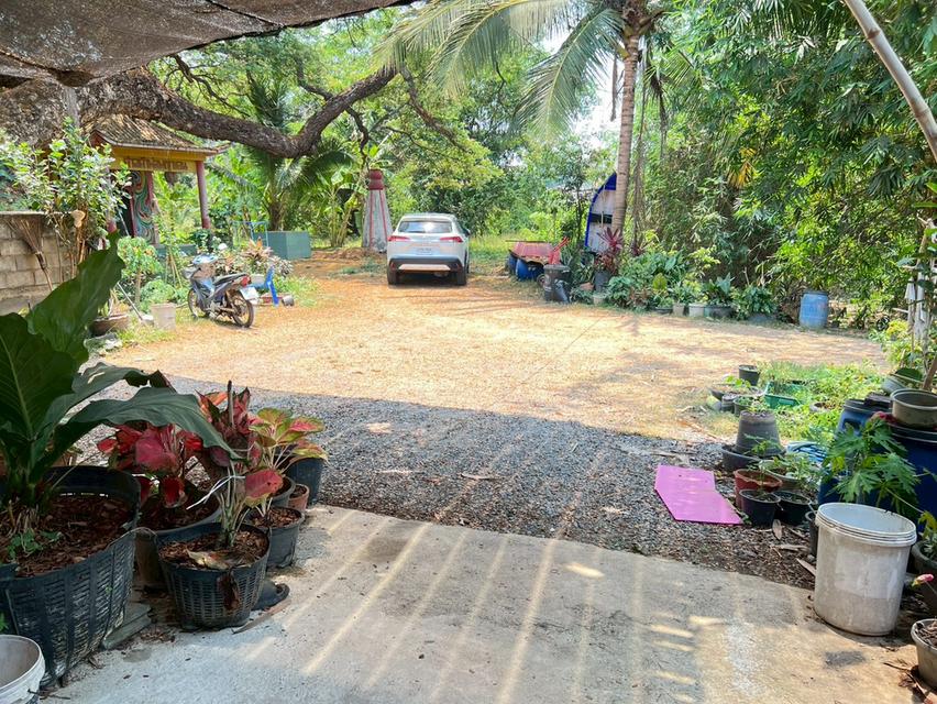 บ้านเดี่ยว 2 ชั้น 42 ตร.ว. ครึ่งปูนครึ่งไม้สัก สภาพดี จ.สิงห์บุรี 7