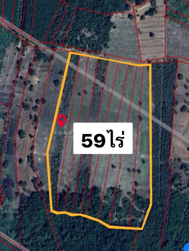 ขายที่ดินการเกษตร59ไร่ อ.เมืองนครพนม 1
