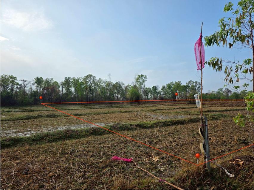 ขายด่วน ที่ดิน ติดรั้วหลัง ม.เกษตรศาสตร์ จังหวัดสกลนคร 4