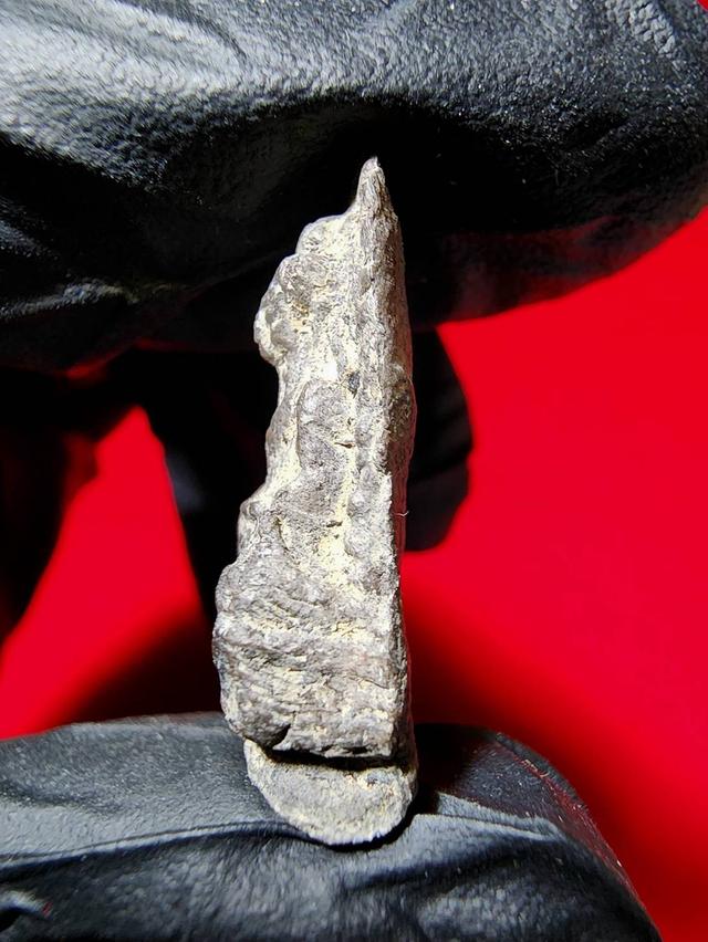 พระรอด กรุมหาวัน เนื้อดินเผาสีดำ 4