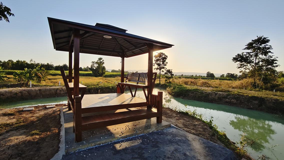 ที่ดิน " วิวภูเขา " อากาศดี ใกล้วังน้ำเขียว ใกล้ทางหลวง 304 วิวภูเขาลอมรอบ ภูหลวง ปักธงชัย นครราชสีมา มีให้เป็นเจ้าของอีก 5 แปลง เท่านั้น 11