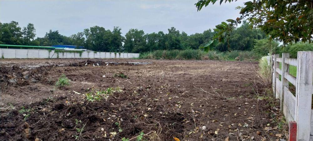 ขายที่ดินเปล่าถมแล้วพร้อมโฉนด 2 แปลงติดกันขนาดแปลงละ 575 ตรว. ติดคลอง ใกล้ถนนใหญ่ ทำเลทอง “เวิลด์คลับแลนด์” คลองสาม ปทุมธานี  5