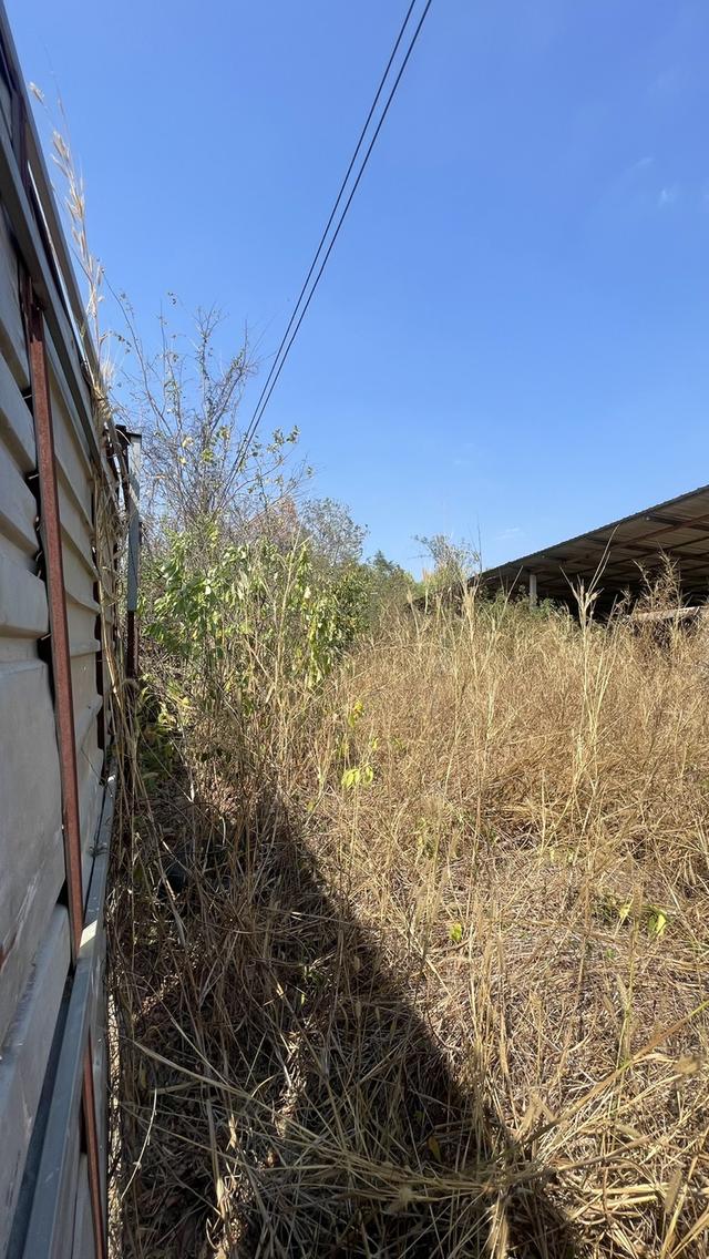 ขายที่ดินพนัสนิคม ชลบุรี พร้อมสิ่งปลูกสร้าง 2-2-20 ไร่ (แปลงมุมติดถนนคอนกรีต 2 ด้าน) 8