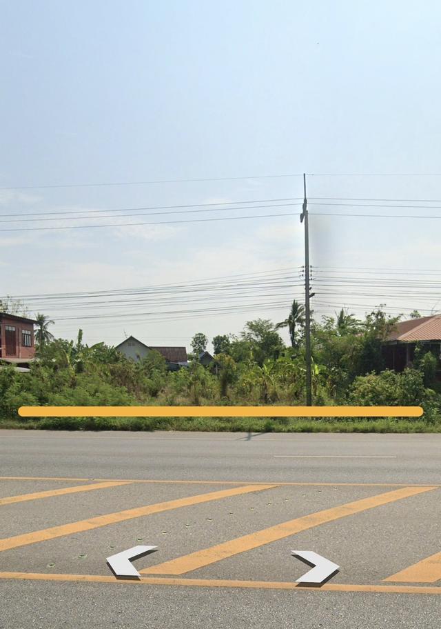 ที่ดินถมแล้ว จังหวัดพิษณุโลก ติดถนนหลวง 4 เลน 3