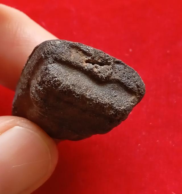 พระหลวงพ่อทวด วัดช้างให้ รูปที่ 4