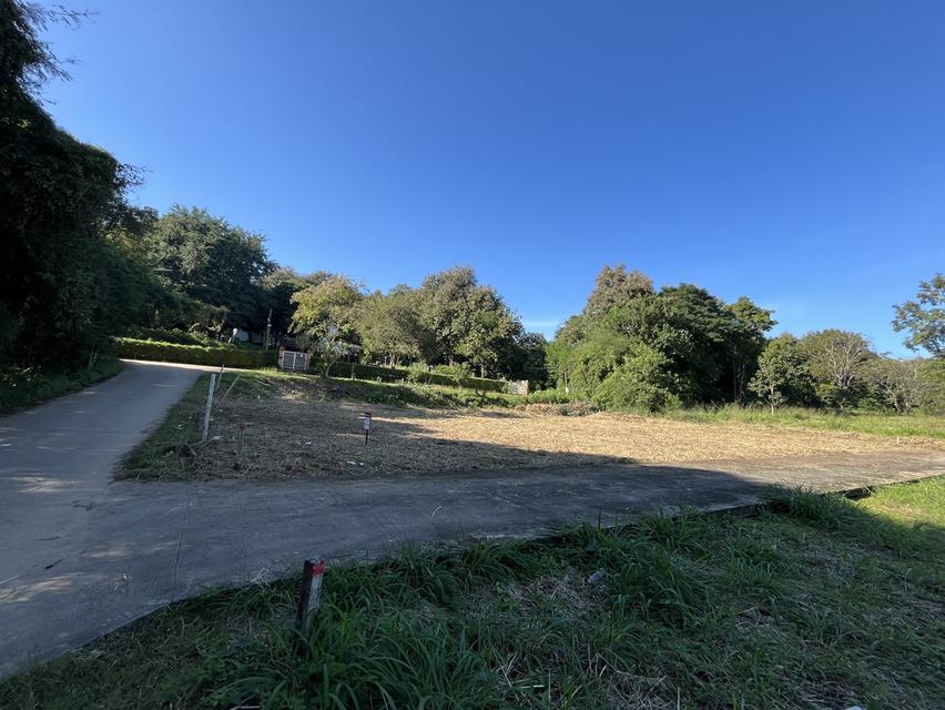 บ้าน ที่ดิน ขาย ให้เช่า 2