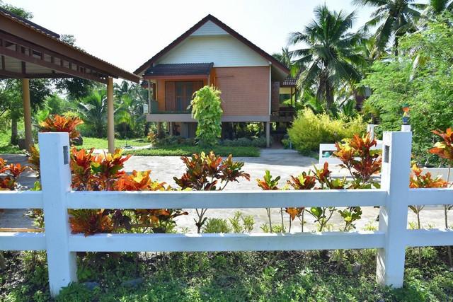 ขายบ้านพร้อมที่ดิน ติดคลอง ติดตลาดท่าคา อัมพวา วิวธรรมชาติ 4