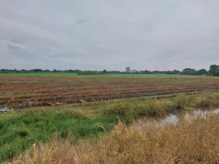 ที่ดินแถวปทุมธานีถนนราชพฤกษ์ตัดใหม่มุ่งหน้าปทุม 3