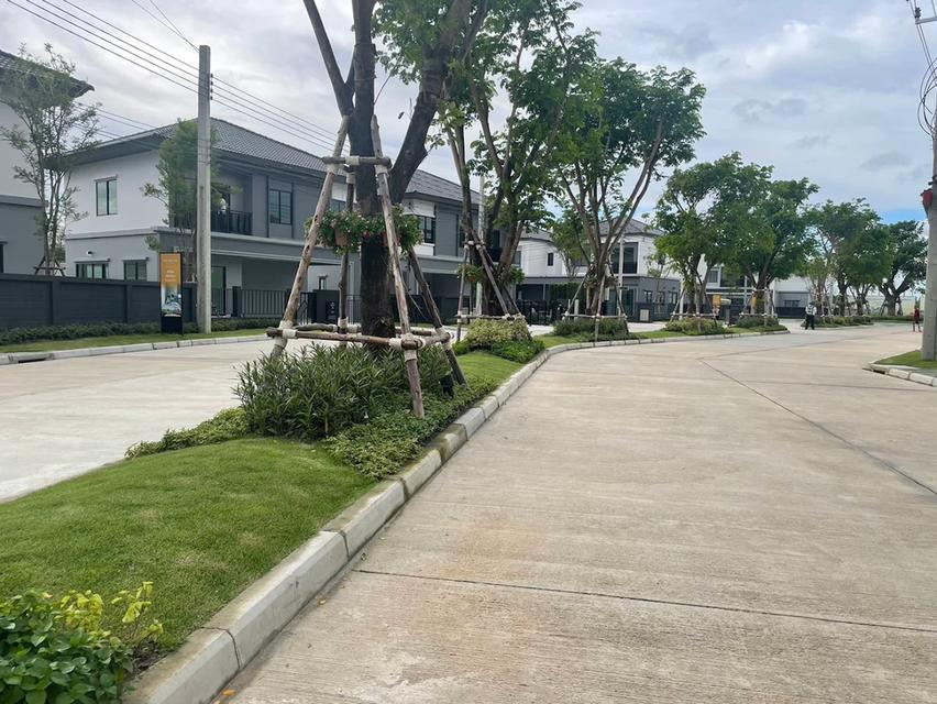 บ้านบริทาเนีย บางนา เทพารักษ์ ให้เช่า 5