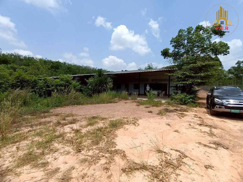 ลงทุนเพื่ออนาคต! ที่ดิน41-369ไร่ อ.เมืองระยอง l ใกล้ถ.สุขุมวิท(เดินทางเชื่อมต่อไปตัวเมืองระยองสะดวก) 7