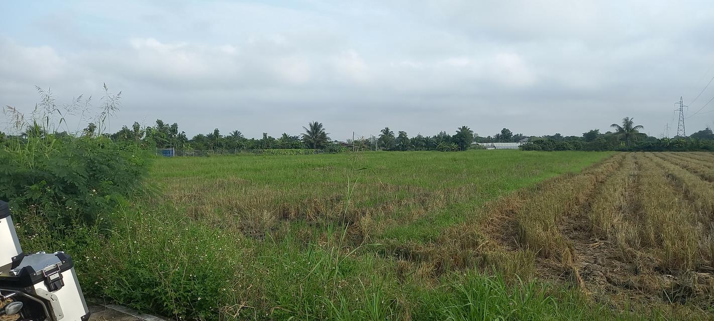 ที่ดินในอำเภอเมืองลำพูน 7