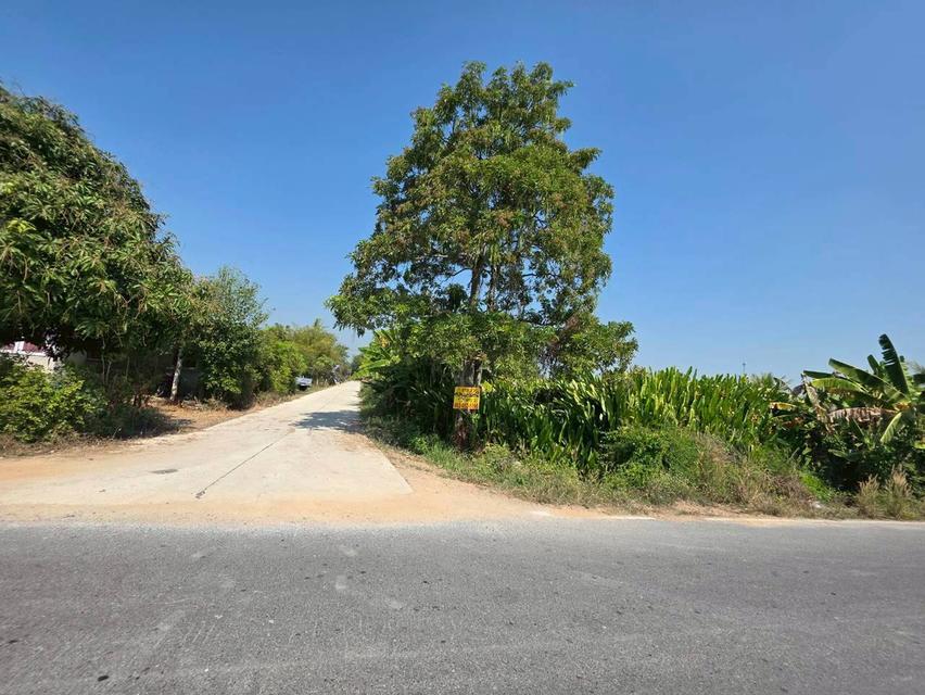 ขายที่ดินองครักษ์ นครนายก คลอง22 ใกล้วัดราษฎร์ศรัทธาราม 2