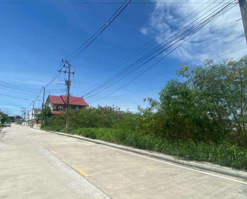 ขายที่ดินเสม็ดถมแล้วเนื้อที่ 199 ตรว. ติดถนนซ.นารถมนตเสวี9/1 ใกล้ถนนพระยาสัจจาเพียง300เมตร อ.เมืองชลบุรี 3