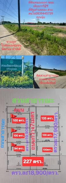 ขายที่ดินทำเลทอง ย่านธุรกิจ ราคาถูก 9