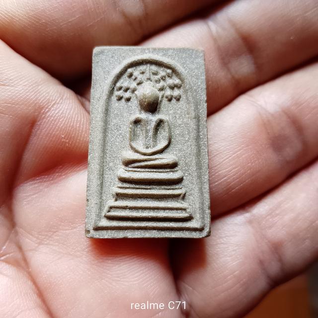 ปรกโพธิ์หลวงปู่โต๊ะ 18