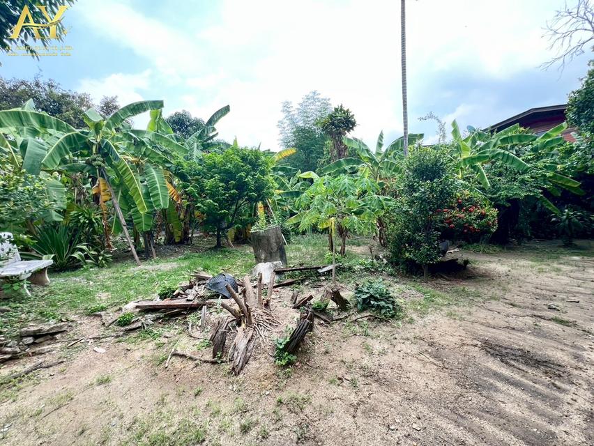 ขายที่ดิน ใกล้ถนนกรุงเทพ-นนท์ นนทบุรี เนื้อที่202ตรว.ขายเพียง 45,000/ตรว 10